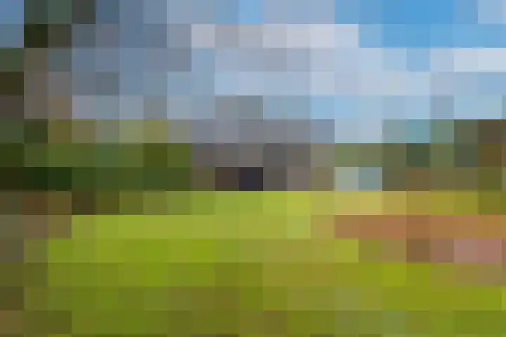 Wielingen 38 Tilburg thumbnail 6