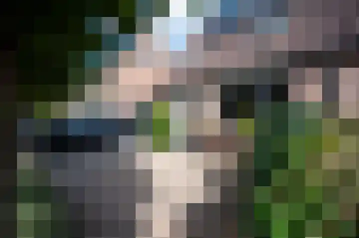 Wielingen 60 Alphen aan den Rijn thumbnail 4