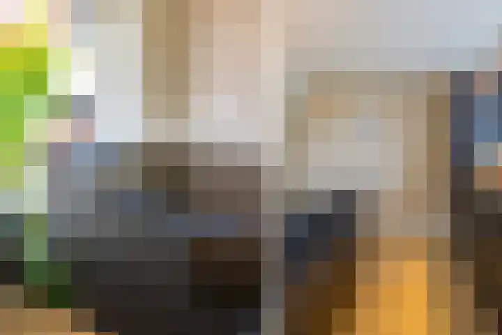 Wielingen 62 Alphen aan den Rijn thumbnail 11