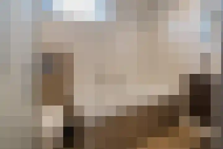 Wielingen 62 Alphen aan den Rijn thumbnail 26