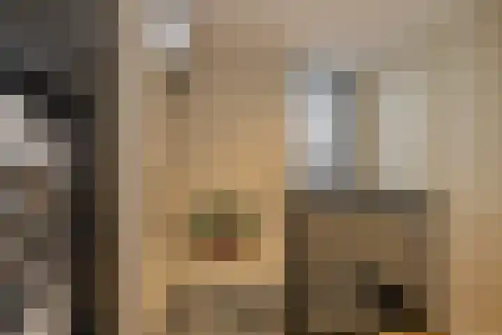 Wielingen 62 Alphen aan den Rijn thumbnail 30