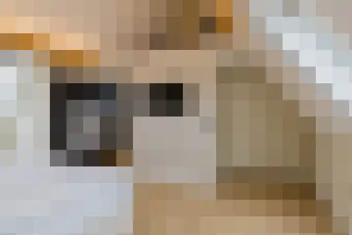 Wielingen 62 Alphen aan den Rijn thumbnail 34