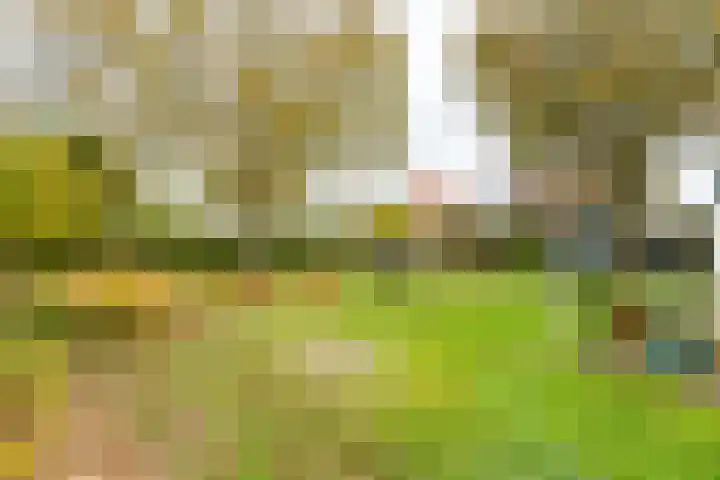Wielingenlaan 15 Vlissingen thumbnail 16