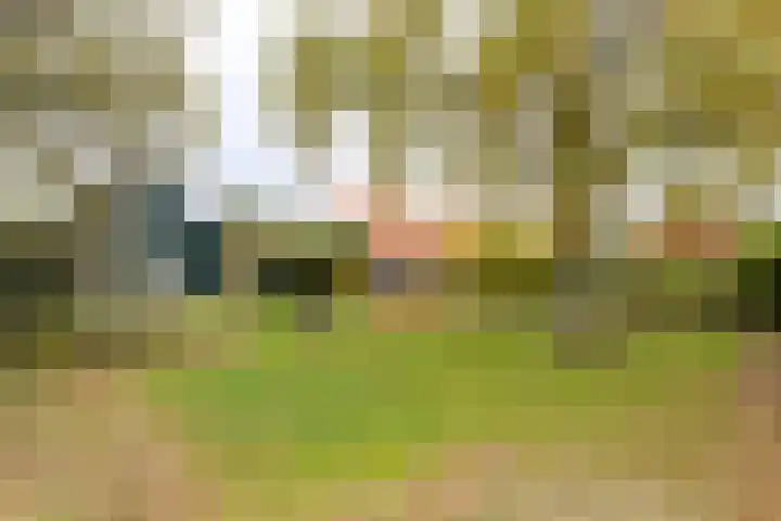 Wielingenlaan 15 Vlissingen thumbnail 18