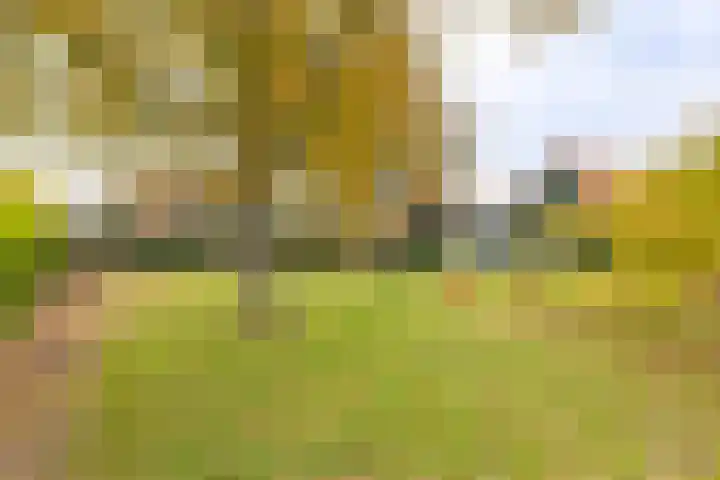 Wielingenlaan 15 Vlissingen thumbnail 19