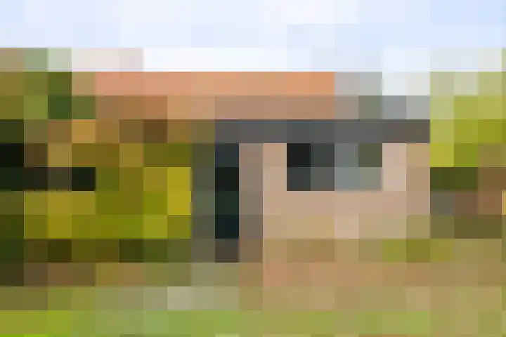 Wielingenlaan 15 Vlissingen thumbnail 20