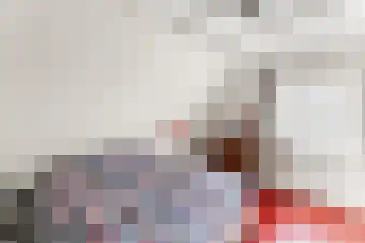Wielingenlaan 15 Vlissingen thumbnail 22