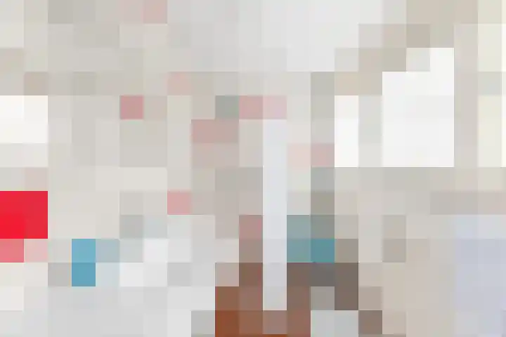 Wielingenlaan 15 Vlissingen thumbnail 27