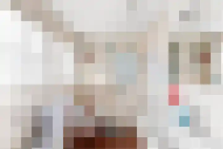 Wielingenlaan 15 Vlissingen thumbnail 28
