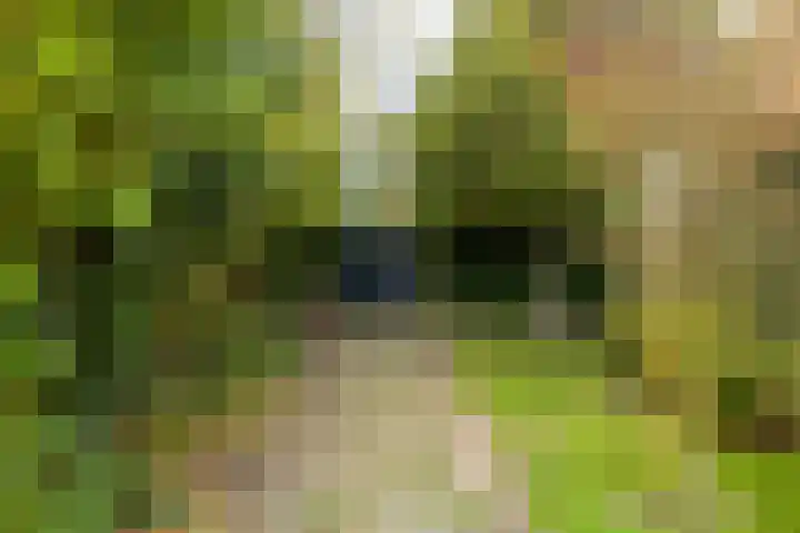 Wielingenlaan 15 Vlissingen thumbnail 30