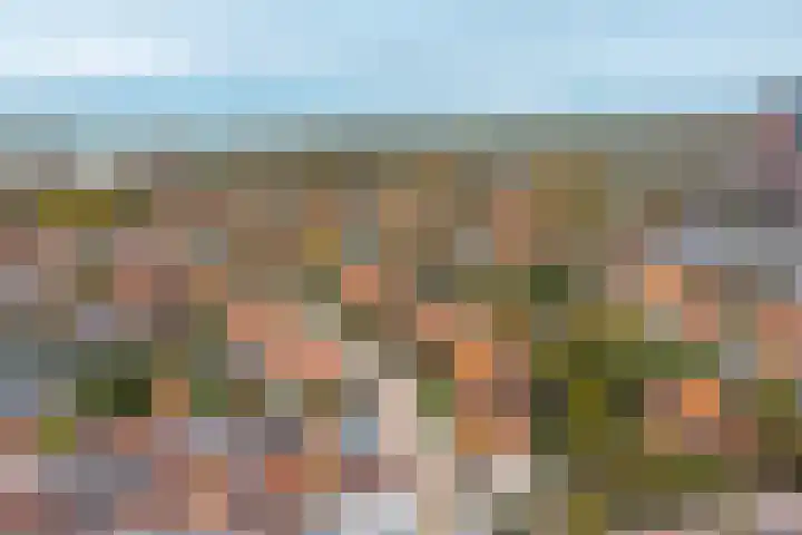 Wielingenlaan 15 Vlissingen thumbnail 31