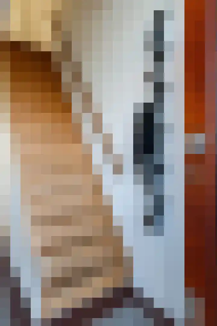 Wielingenplein 1 Utrecht thumbnail 18
