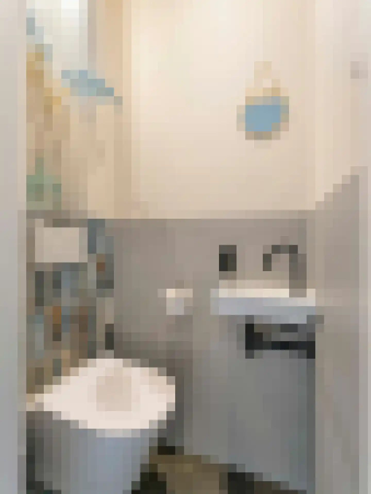 Wielingenplein 38 Utrecht thumbnail 20