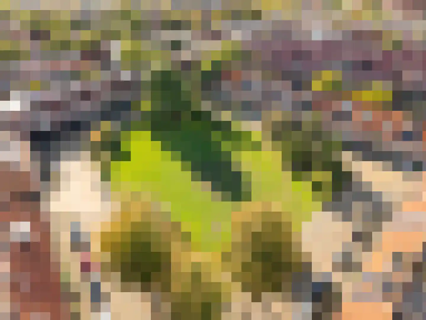 Wielingenplein 38 Utrecht thumbnail 4