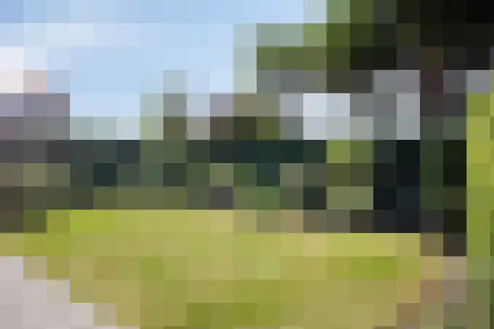 Wielingenstraat 1 Zoutelande thumbnail 14