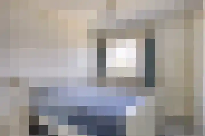 Wielingenstraat 1 Zoutelande thumbnail 8