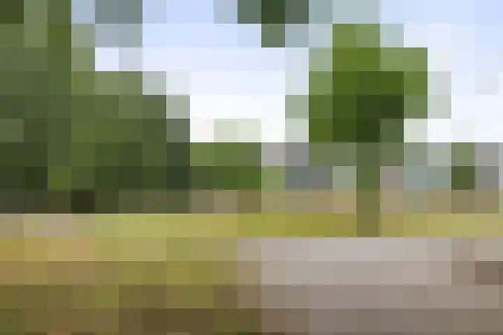 Wielingenstraat 31 Deventer thumbnail 27