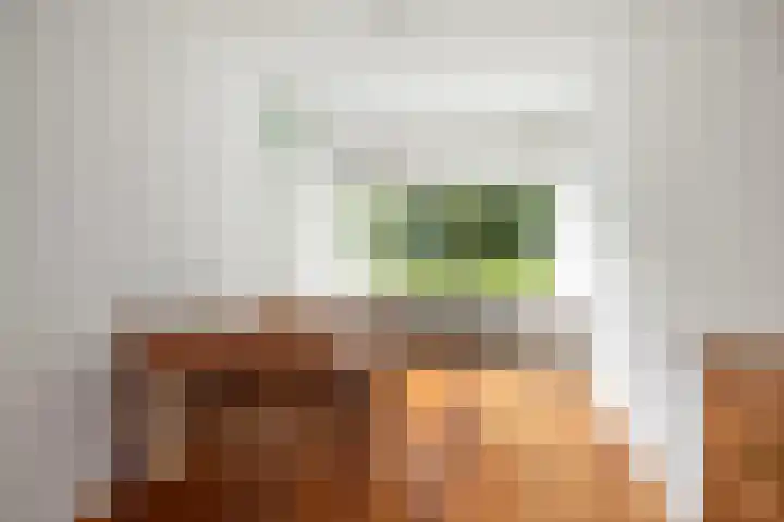 Wielingenstraat 31 Deventer thumbnail 7