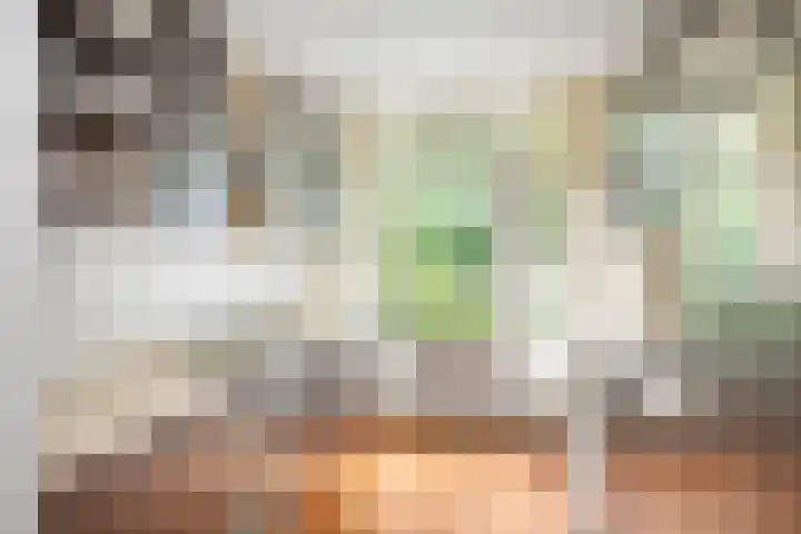 Wielingenstraat 31 Deventer thumbnail 9