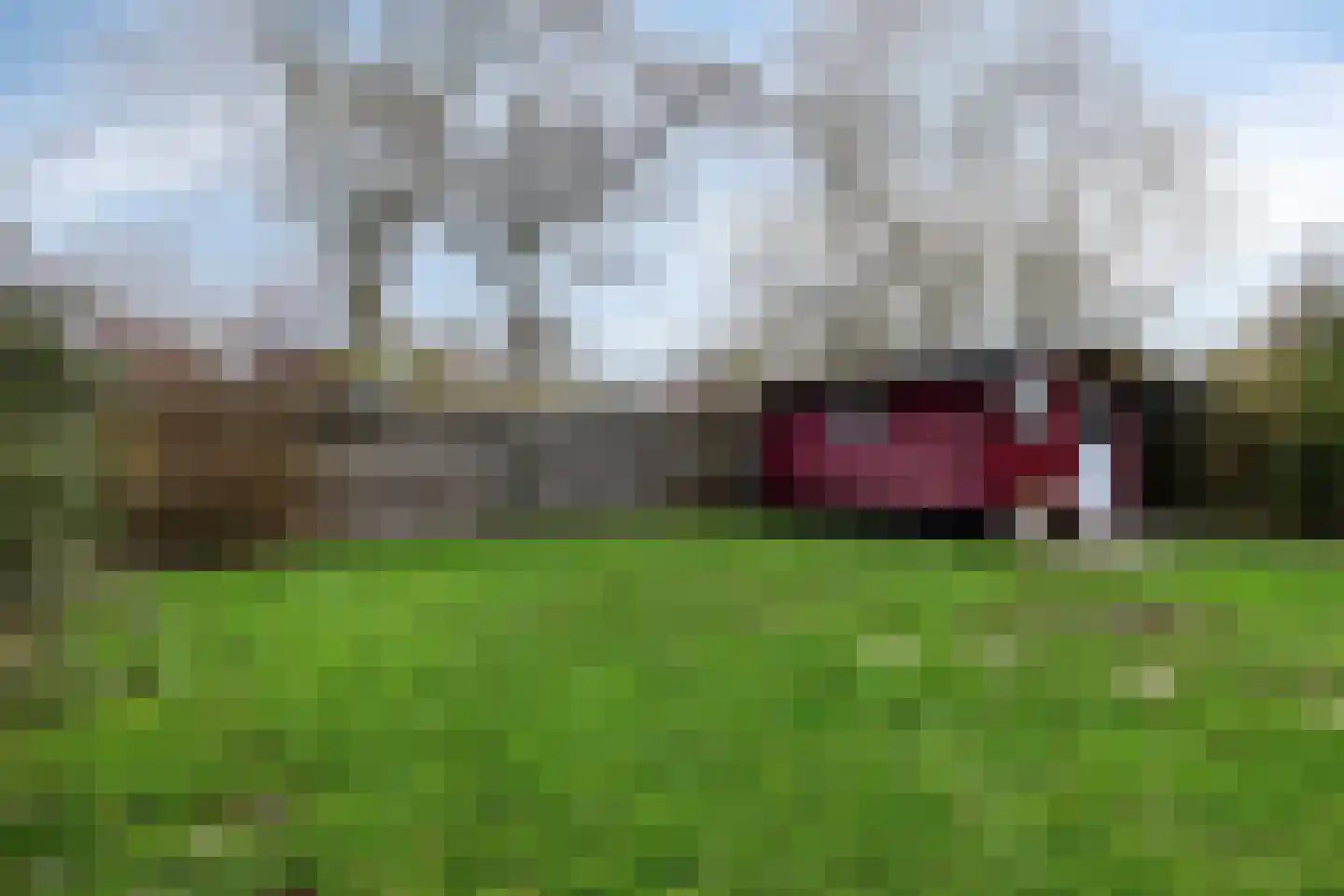 Wielingenstraat 33 Zierikzee thumbnail 28