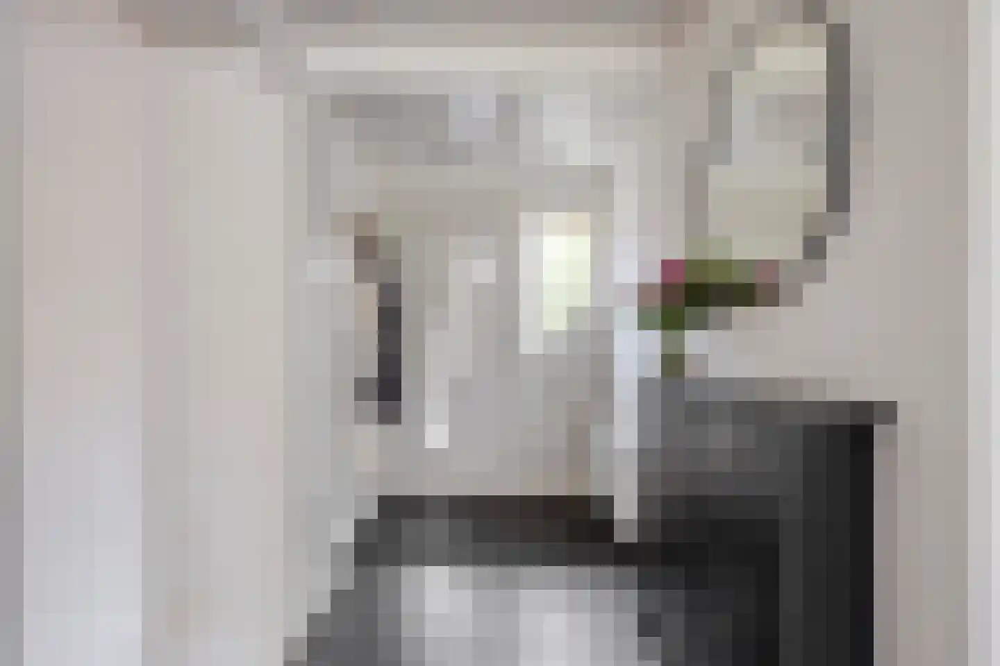 Wielingenstraat 33 Zierikzee thumbnail 5