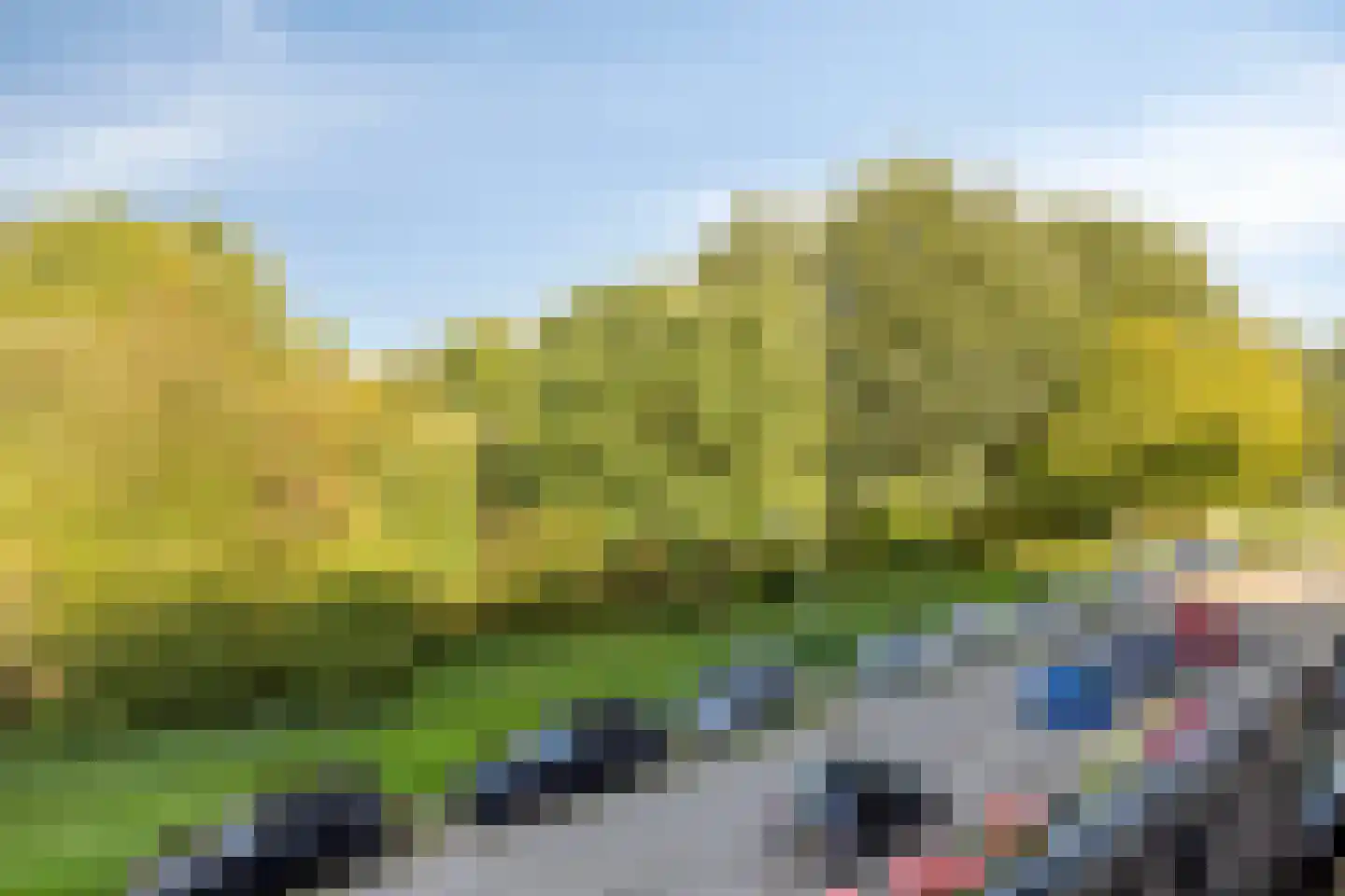 Wielingenstraat 79 Deventer thumbnail 27