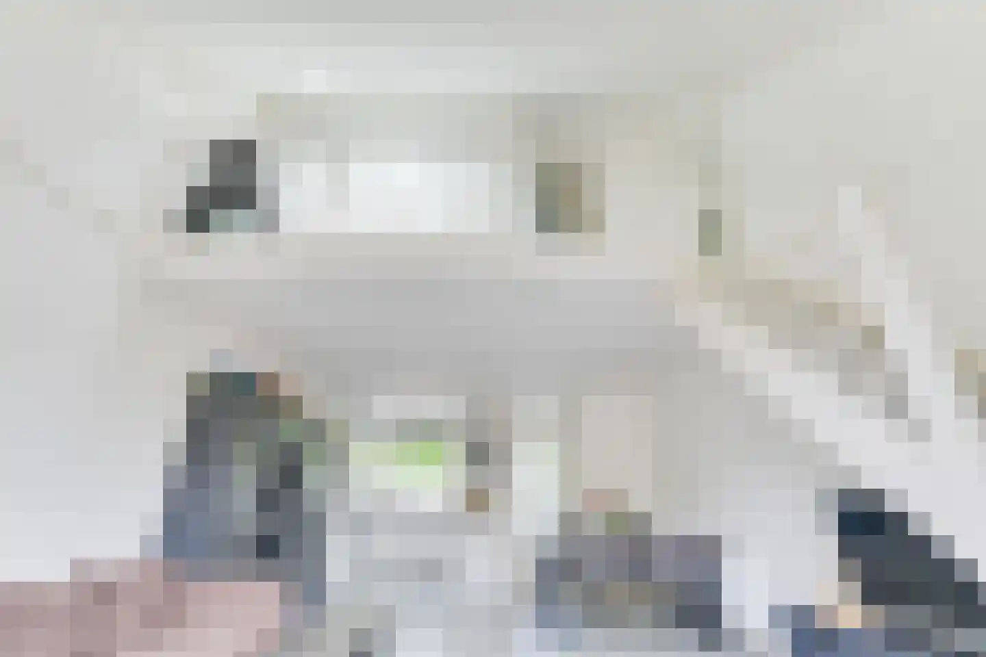 Wielingenweg 10 Alkmaar thumbnail 12