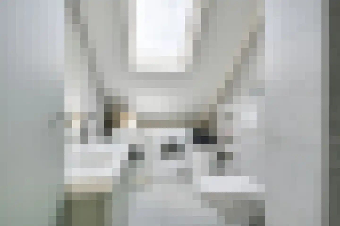Wielingenweg 10 Alkmaar thumbnail 22