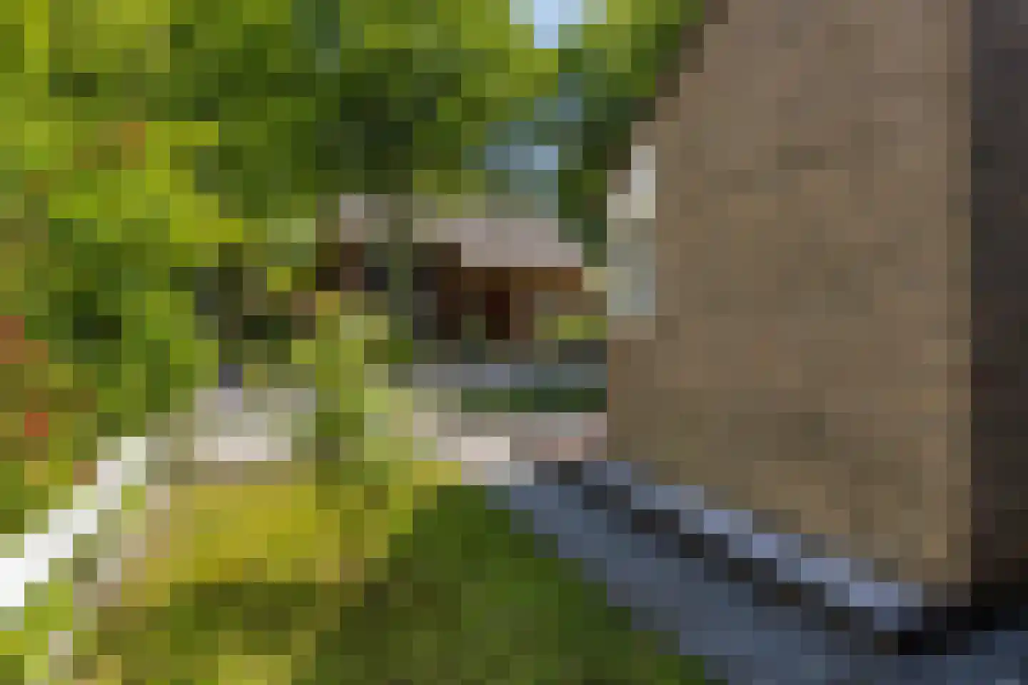 Wielingenweg 145 Alkmaar thumbnail 30