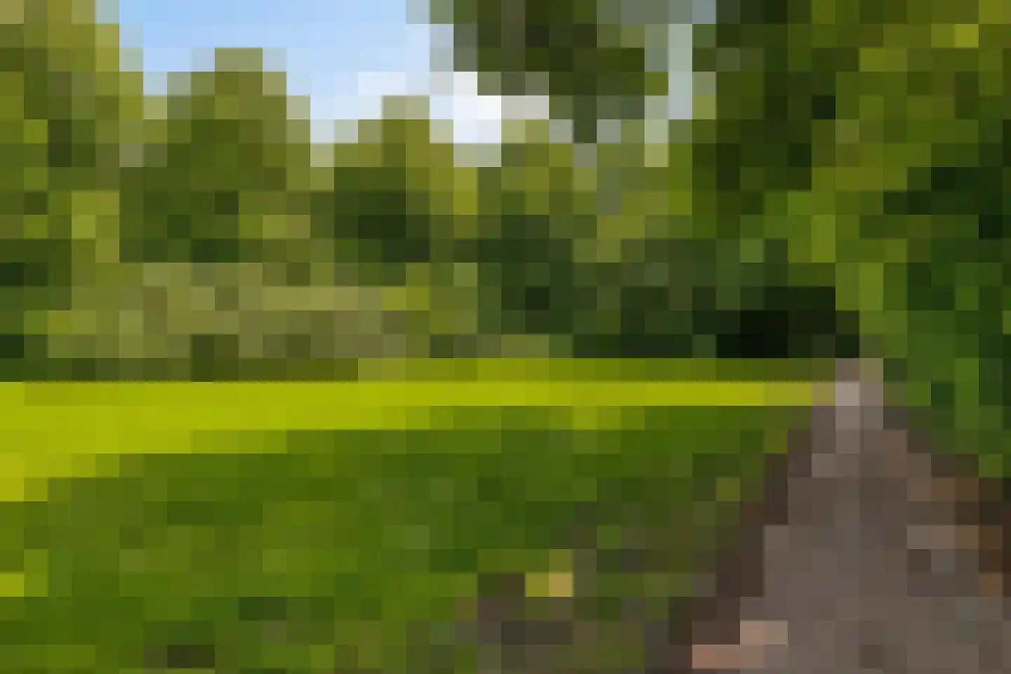 Wielingenweg 145 Alkmaar thumbnail 34