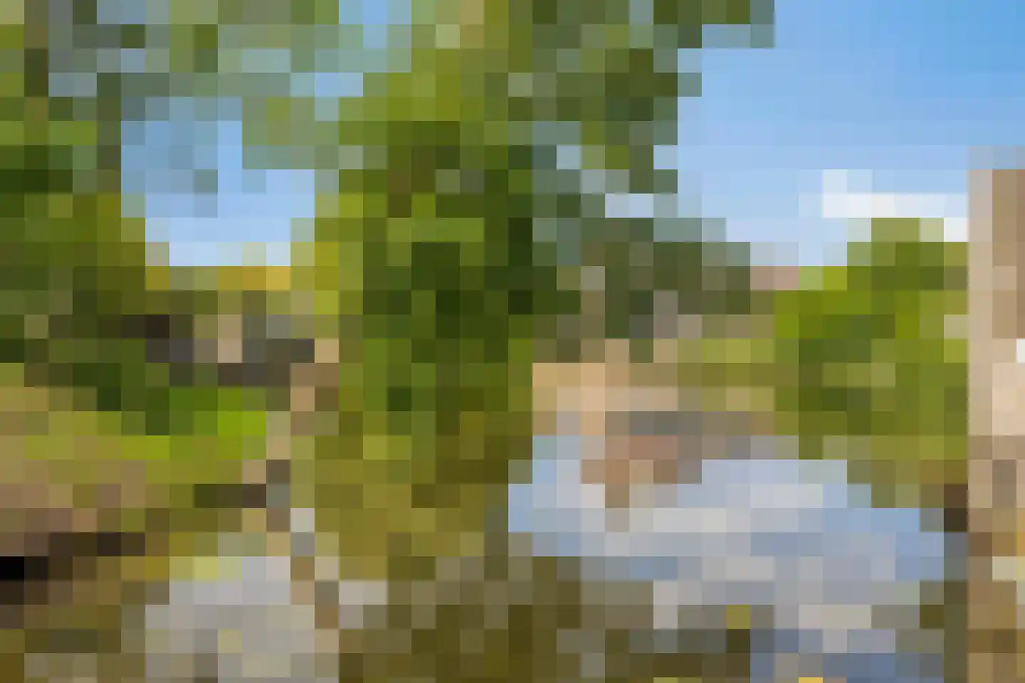 Wielingenweg 145 Alkmaar thumbnail 36