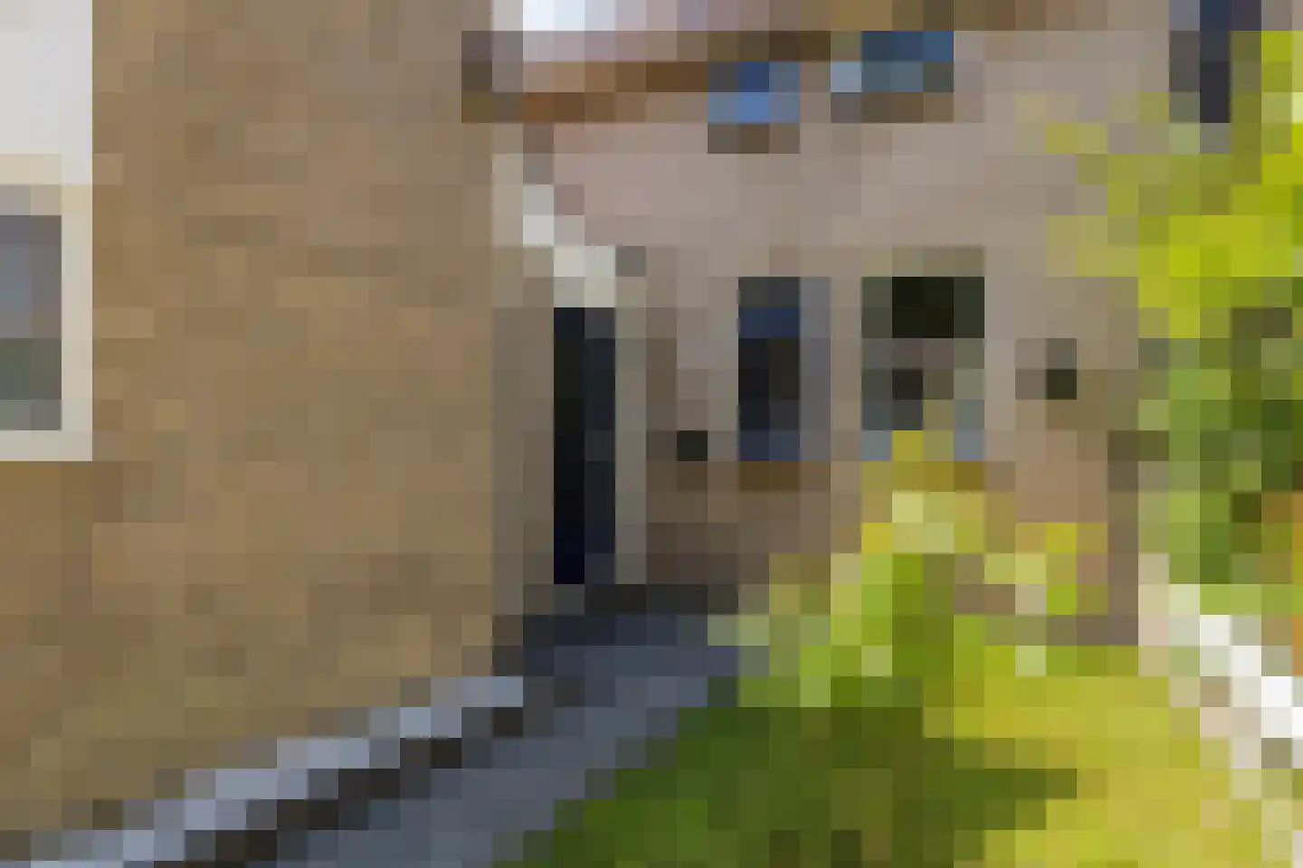 Wielingenweg 145 Alkmaar thumbnail 7