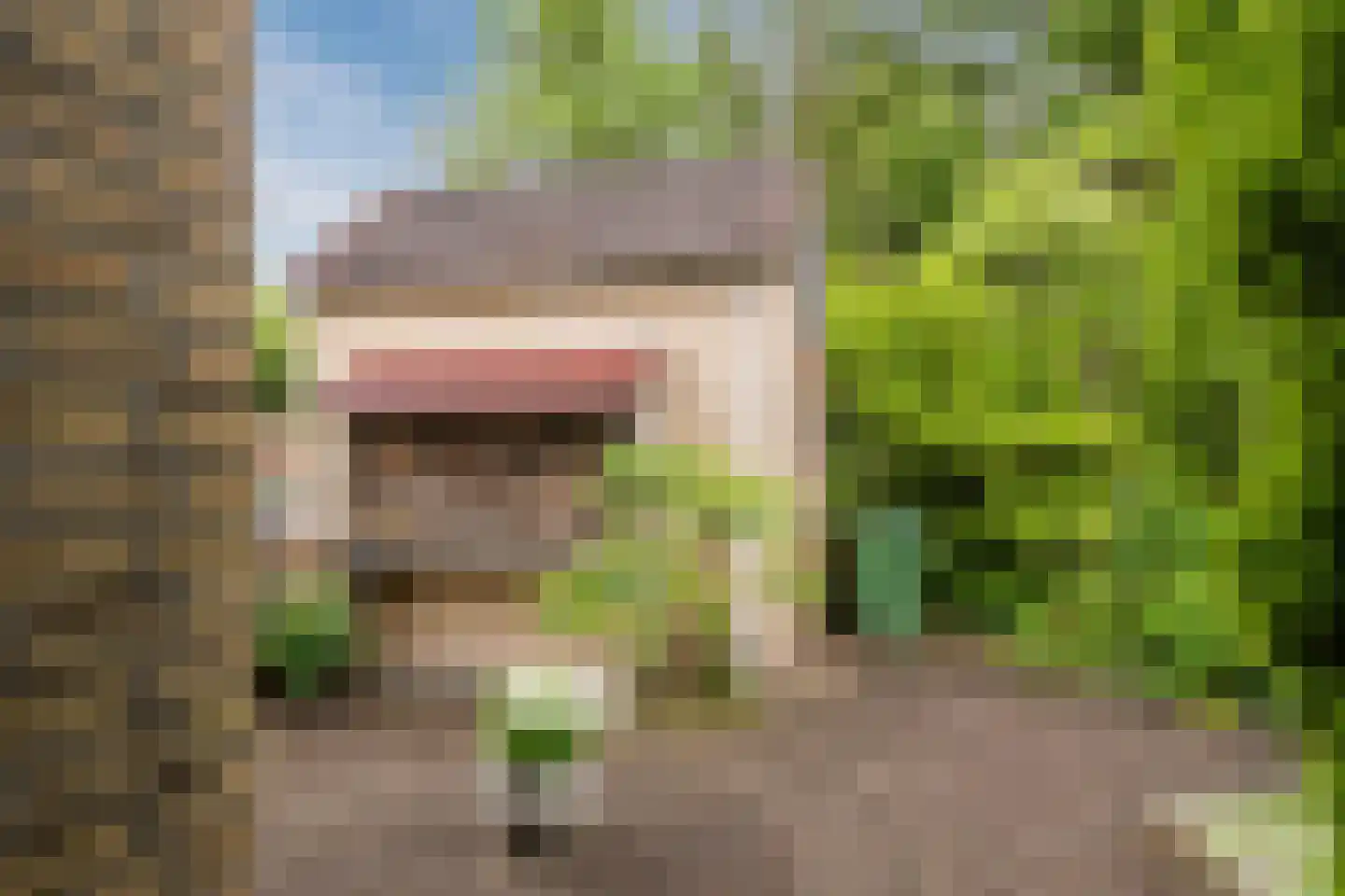 Wielingenweg 155 Alkmaar thumbnail 15