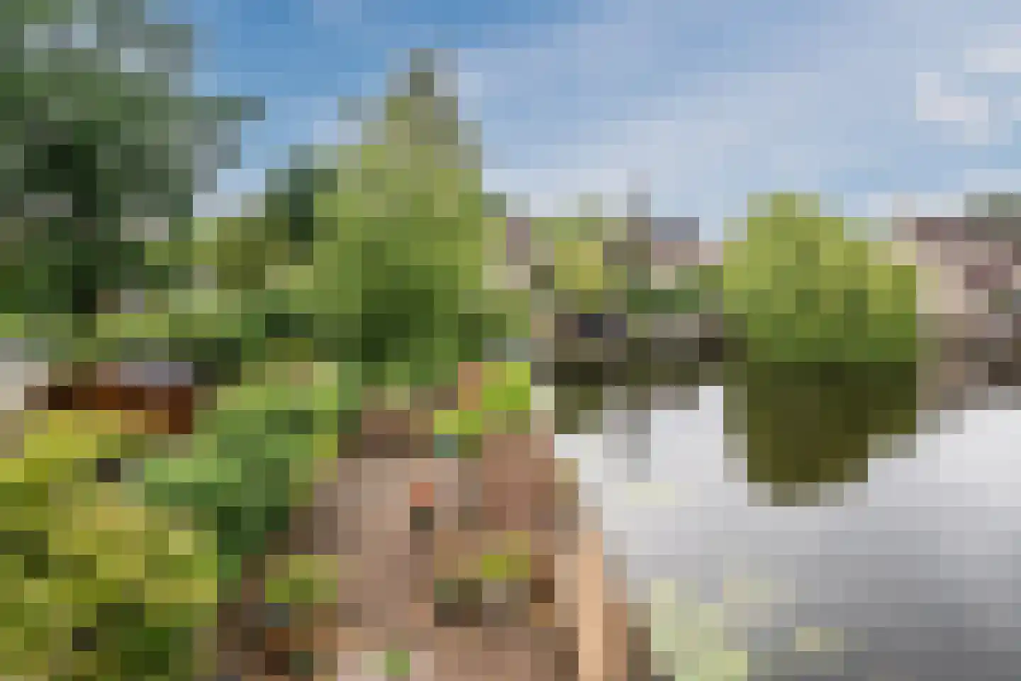 Wielingenweg 155 Alkmaar thumbnail 61