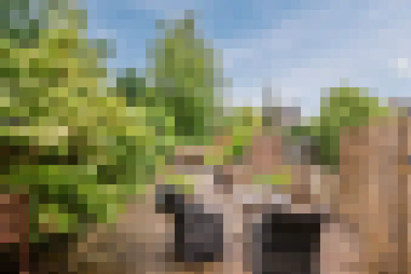 Wielingenweg 155 Alkmaar thumbnail 62