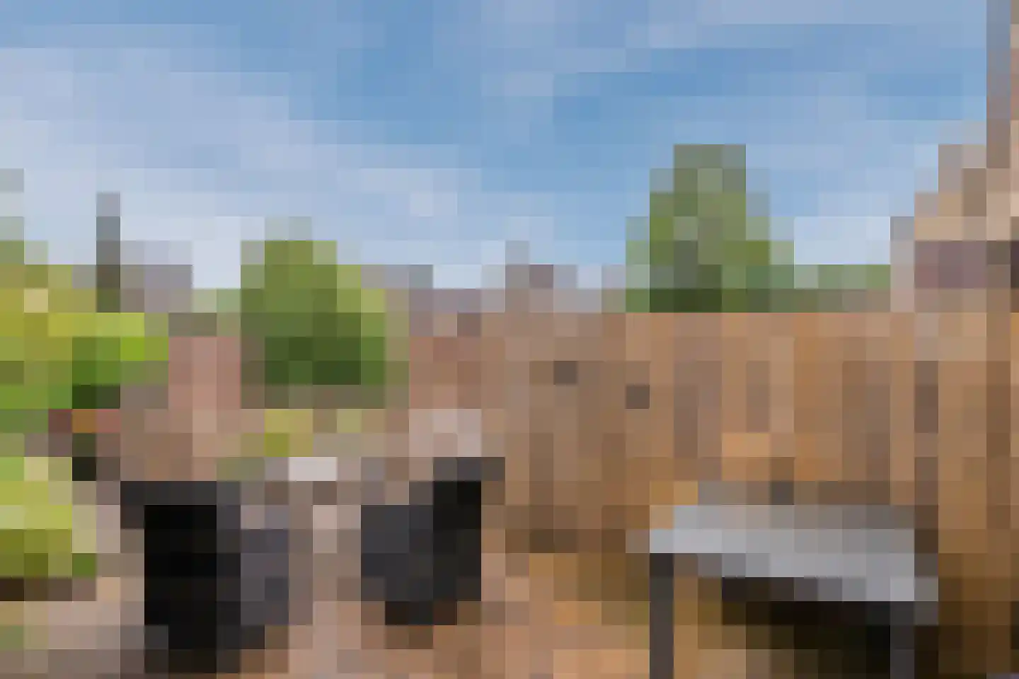Wielingenweg 155 Alkmaar thumbnail 63