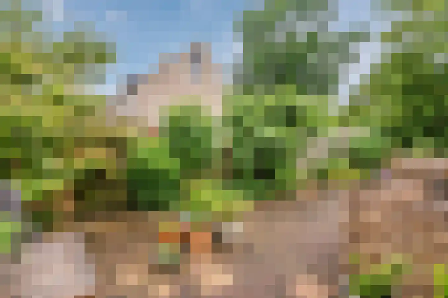 Wielingenweg 155 Alkmaar thumbnail 64