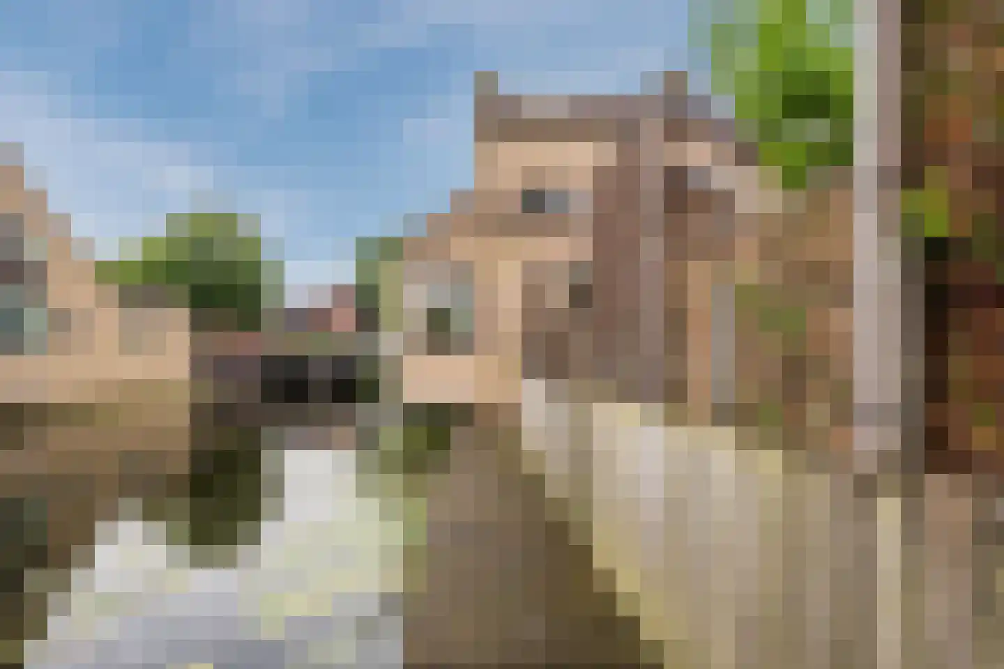 Wielingenweg 155 Alkmaar thumbnail 69