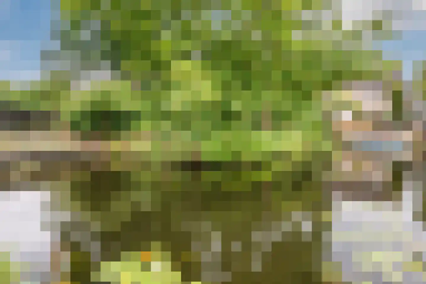 Wielingenweg 155 Alkmaar thumbnail 72