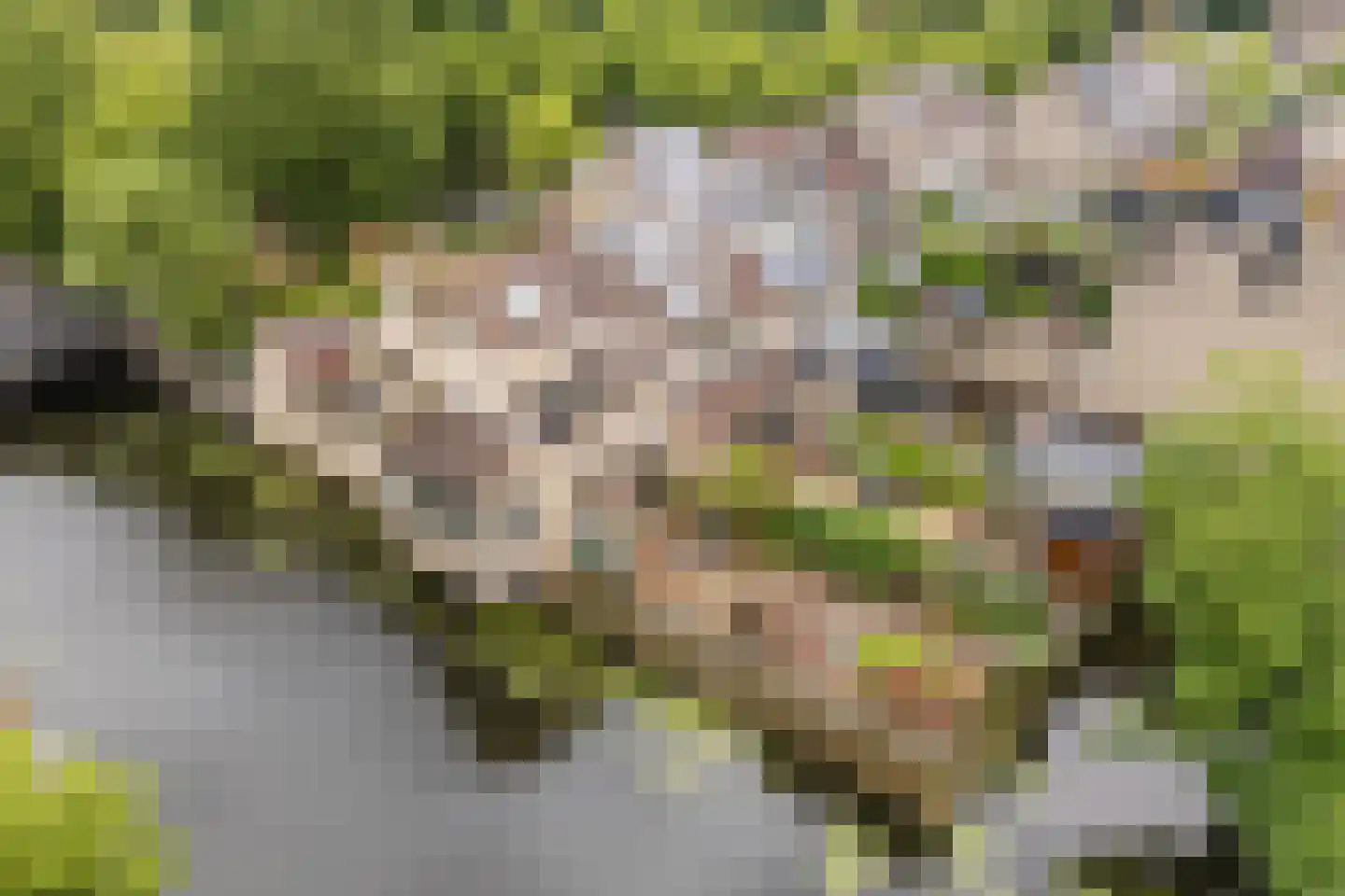Wielingenweg 155 Alkmaar thumbnail 74