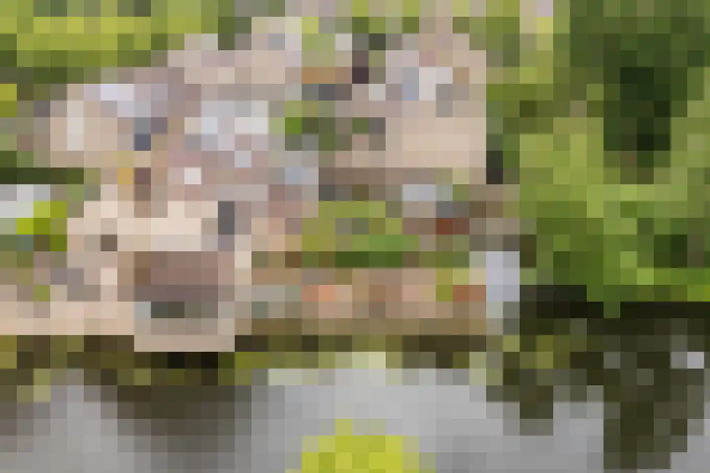 Wielingenweg 155 Alkmaar thumbnail 75
