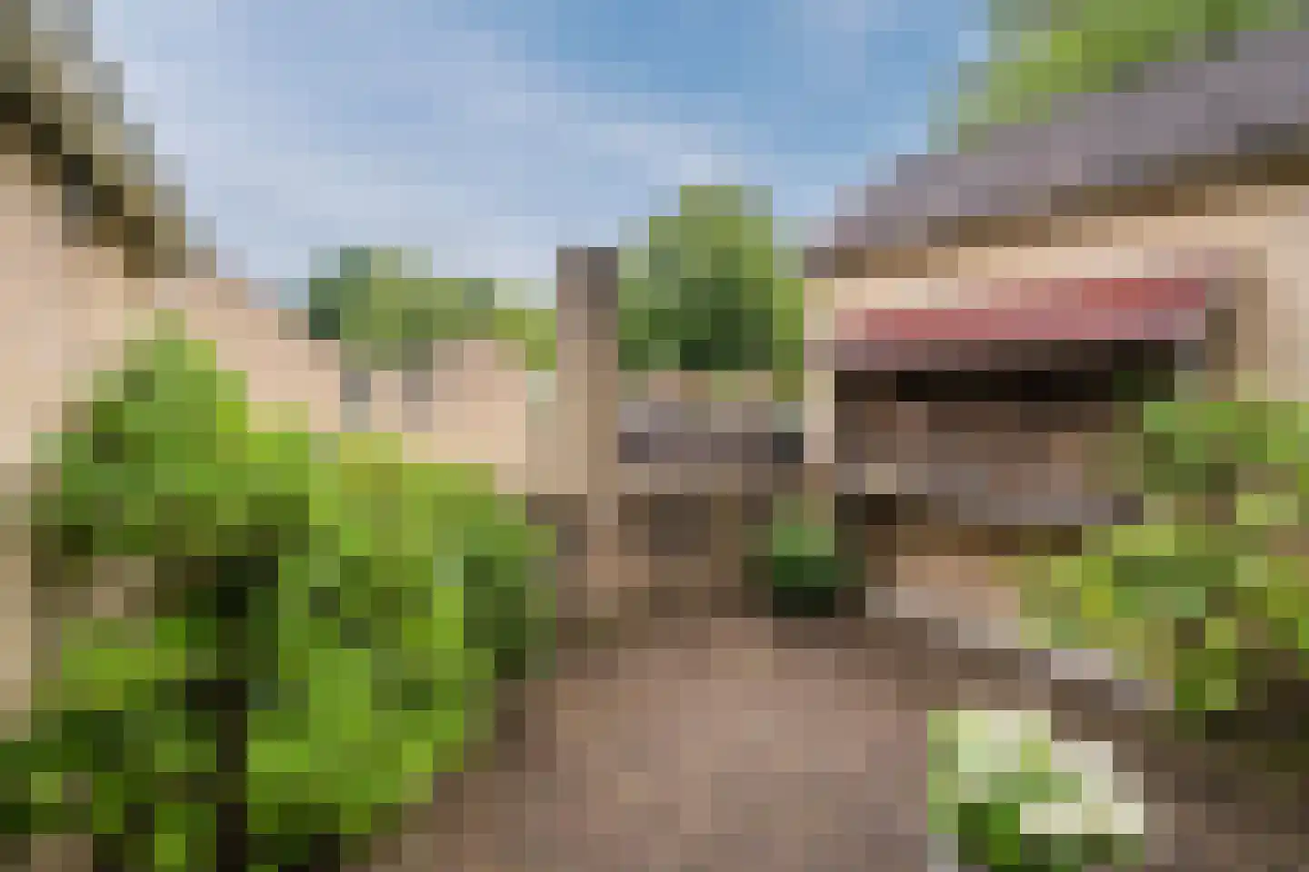 Wielingenweg 155 Alkmaar thumbnail 76
