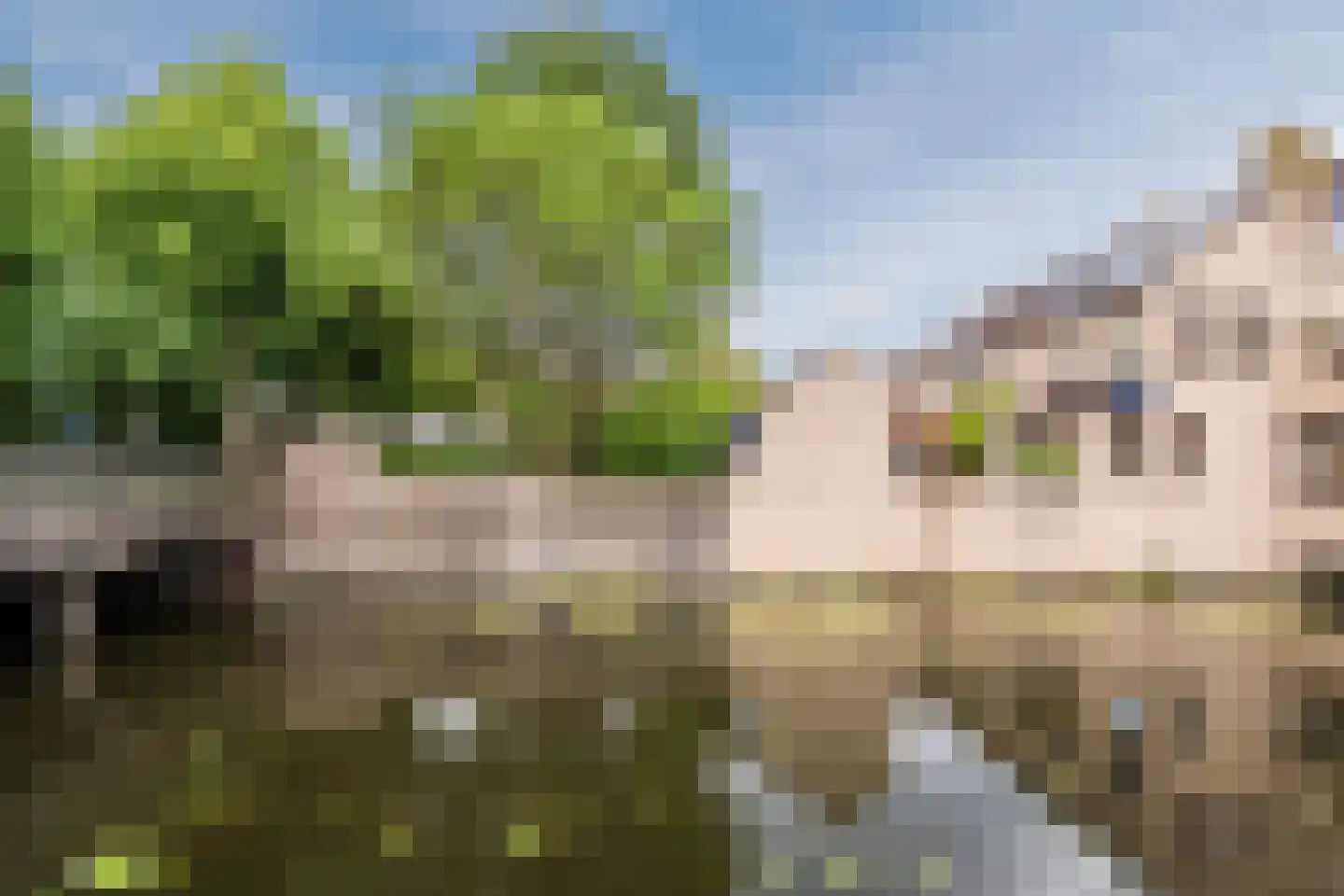 Wielingenweg 155 Alkmaar thumbnail 81