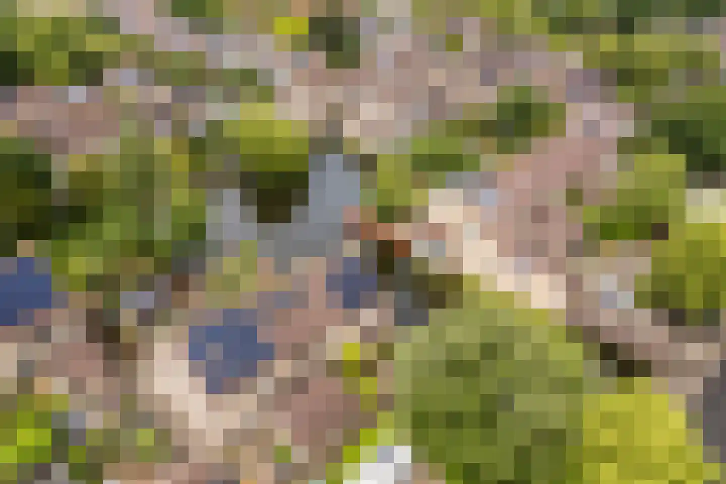 Wielingenweg 155 Alkmaar thumbnail 86
