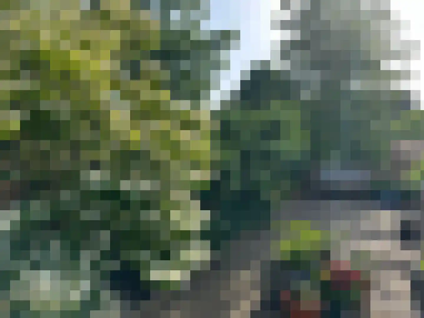 Wielingenweg 155 Alkmaar thumbnail 89