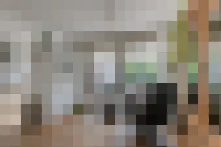 Wielingenweg 233 Alkmaar thumbnail 15