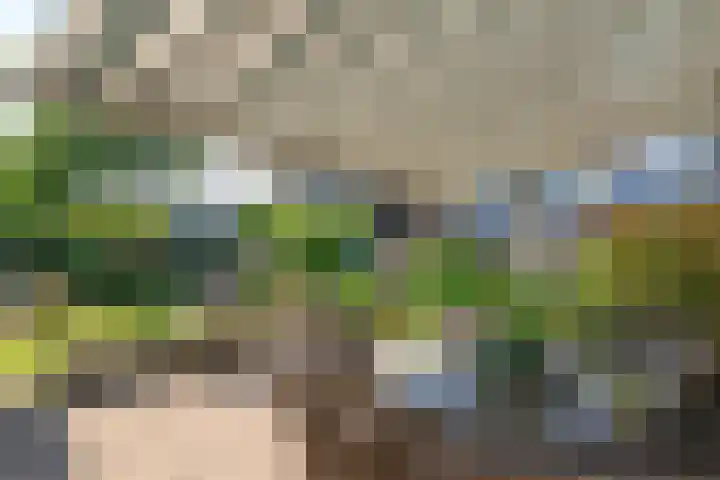 Wielingenweg 233 Alkmaar thumbnail 32