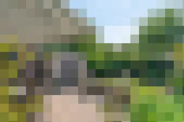 Wielingenweg 233 Alkmaar thumbnail 33