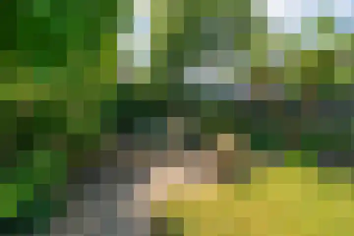 Wielingenweg 233 Alkmaar thumbnail 34