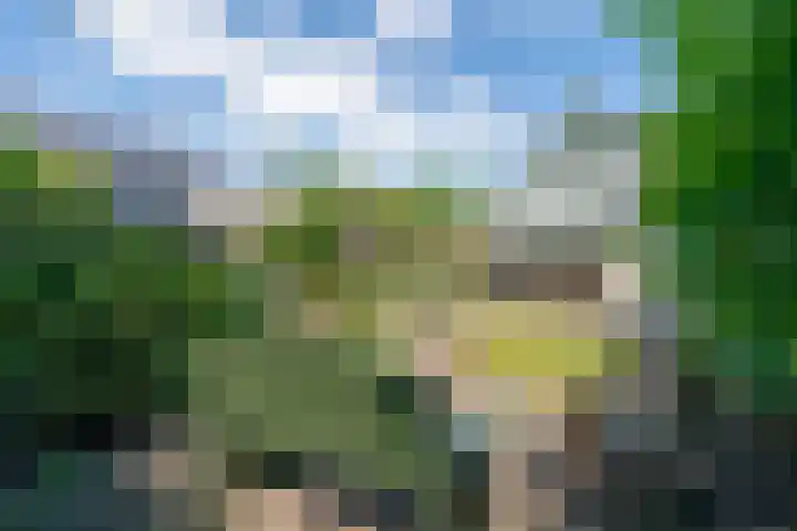 Wielingenweg 233 Alkmaar thumbnail 35